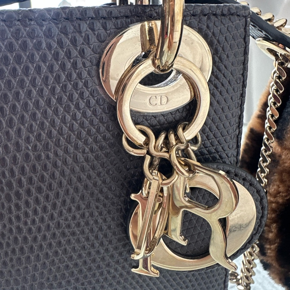 Lady Dior Gray Lizard Mini Bag with Gold Details - Picture 7 of 9